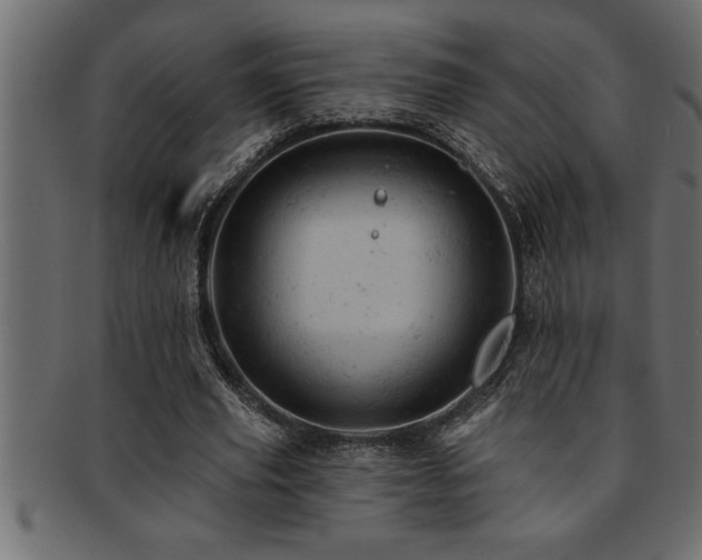 X0000093170629200709261529