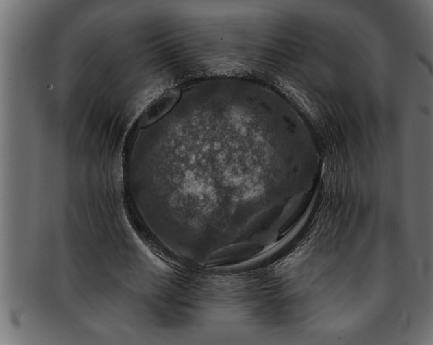 X0000093170630200709261529