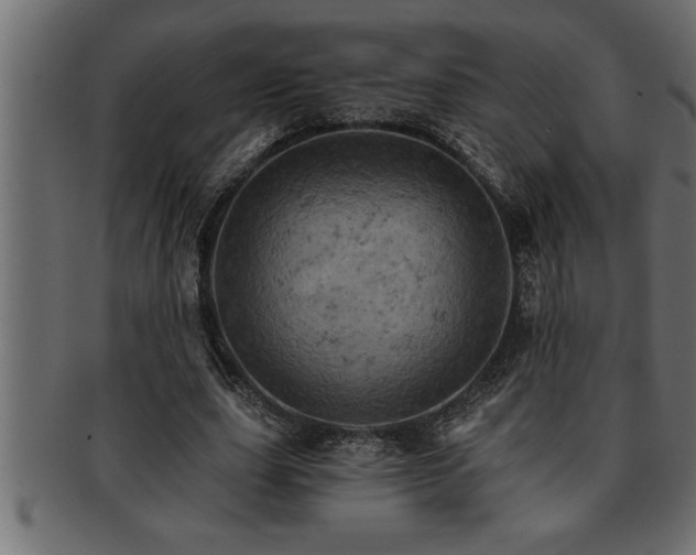 X0000093170631200709261529