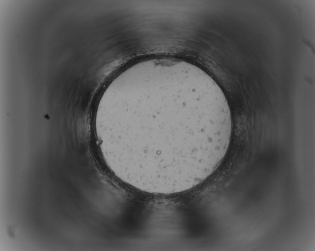 X0000093170632200709261529