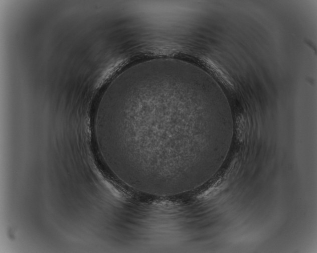 X0000093170634200709261529