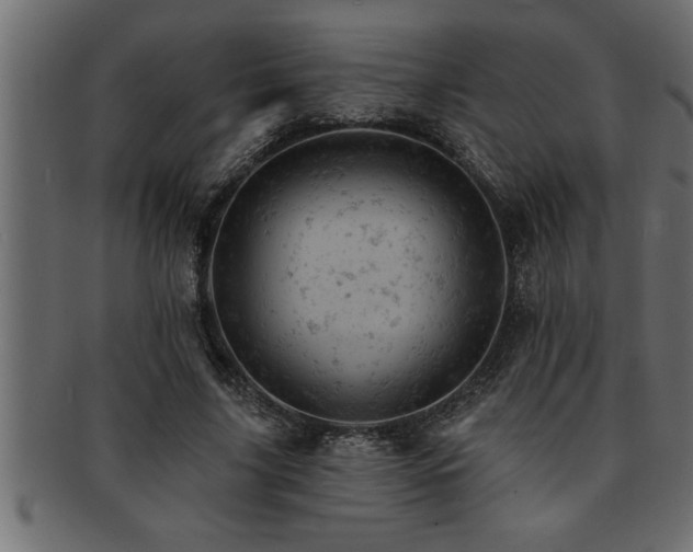 X0000093170635200709261529