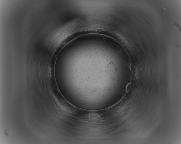 X0000093170636200709261529