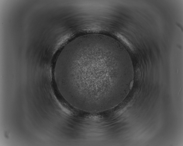 X0000093170638200709261529