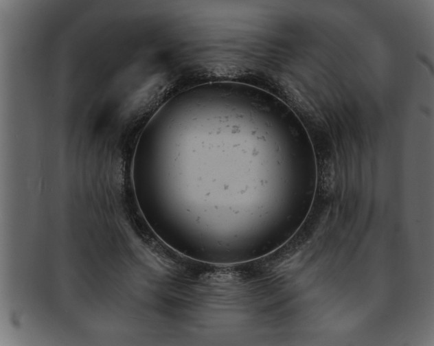 X0000093170639200709261529