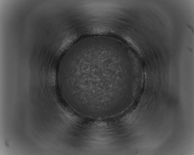 X0000093170640200709261529