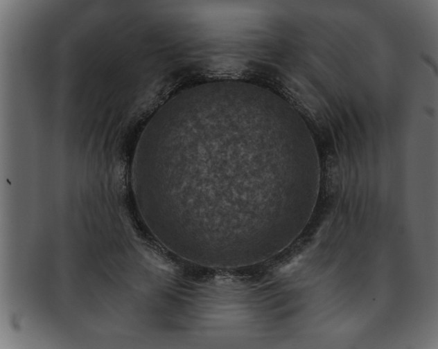 X0000093170641200709261529