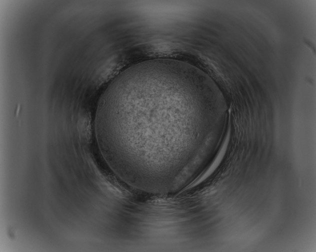 X0000093170642200709261529