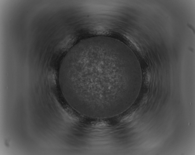 X0000093170643200709261529