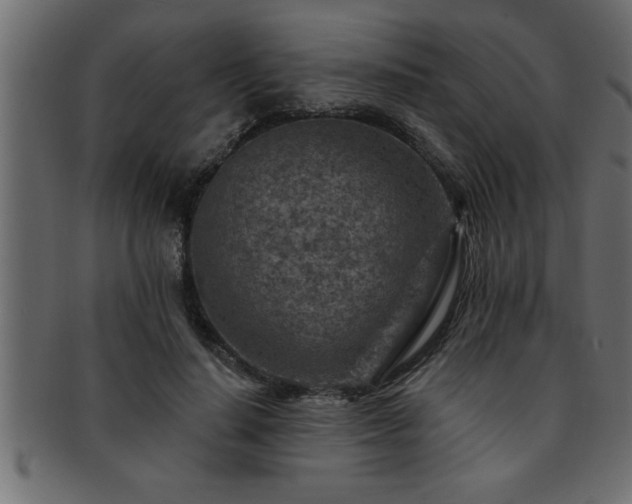 X0000093170644200709261529