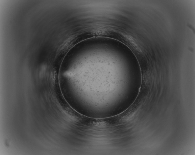 X0000093170645200709261529