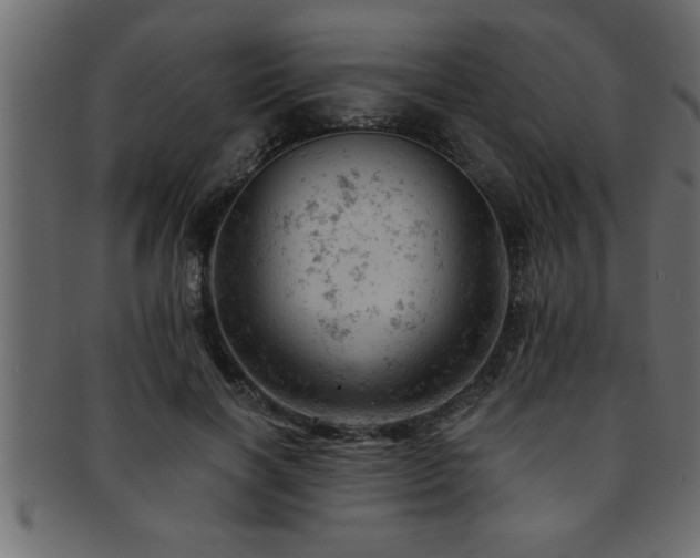 X0000093170646200709261529