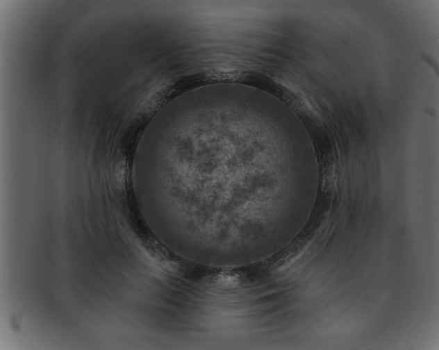 X0000093170647200709261529