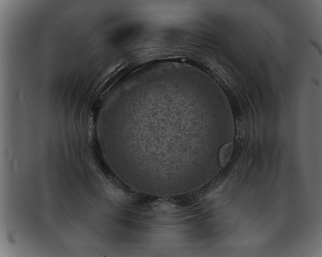 X0000093170648200709261529