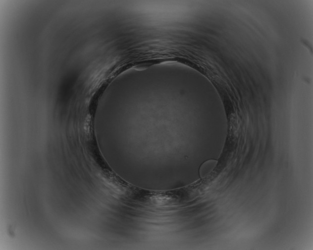 X0000093170650200709261529