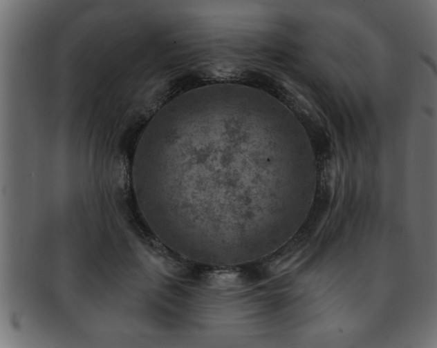 X0000093170651200709261529