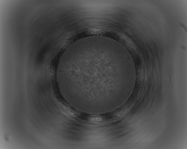 X0000093170653200709261529