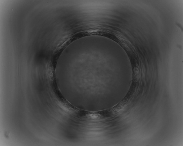 X0000093170654200709261529