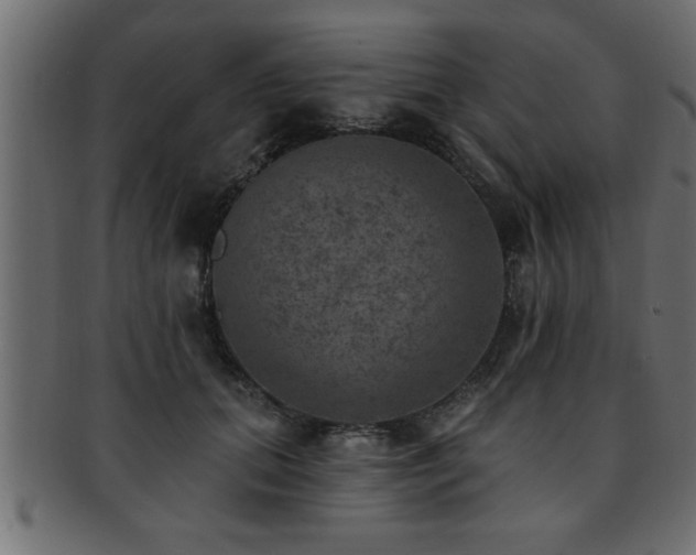X0000093170655200709261529