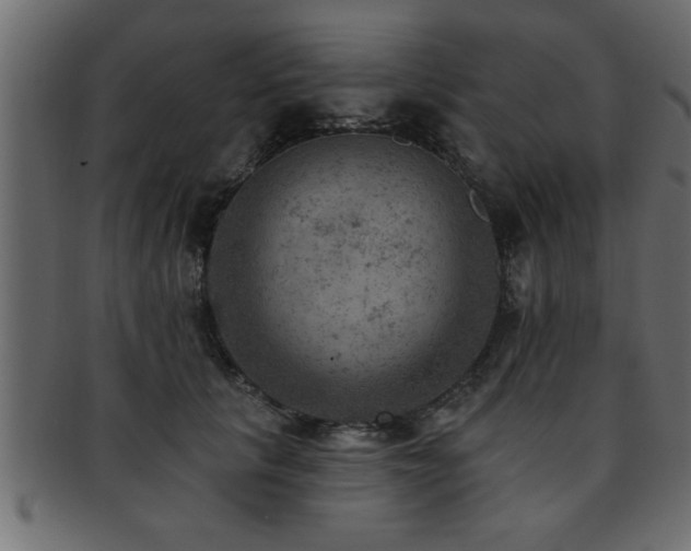 X0000093170657200709261529