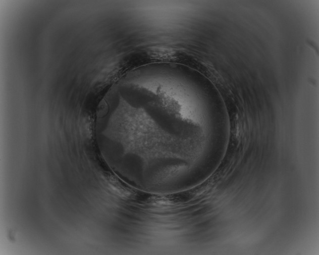 X0000093170658200709261529