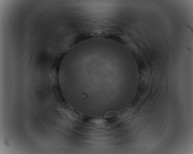 X0000093170659200709261529