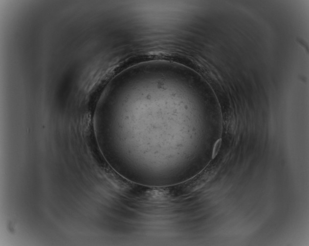 X0000093170660200709261529