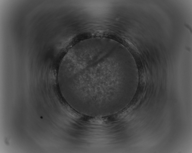 X0000093170661200709261529