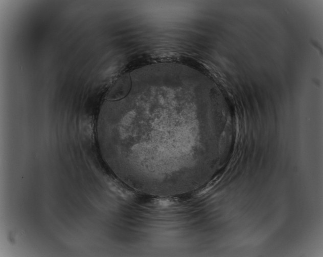 X0000093170662200709261529