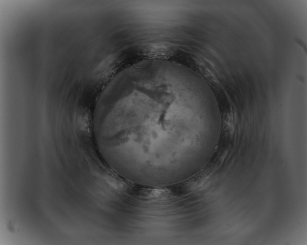X0000093170663200709261529
