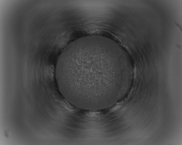 X0000093170664200709261529