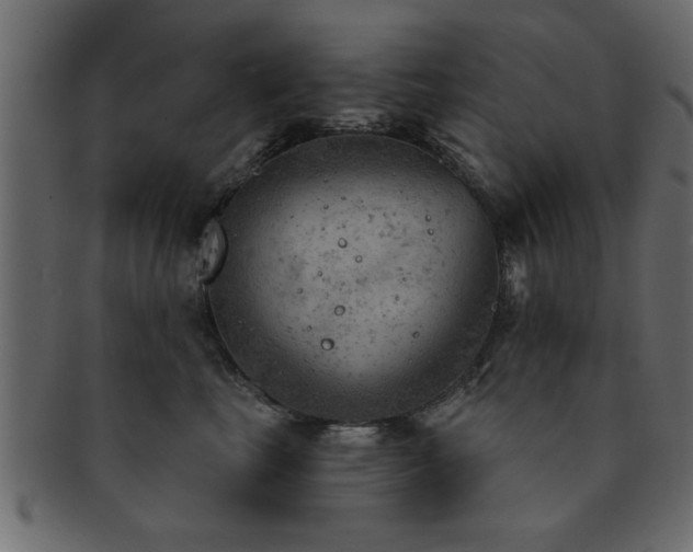X0000093170665200709261529