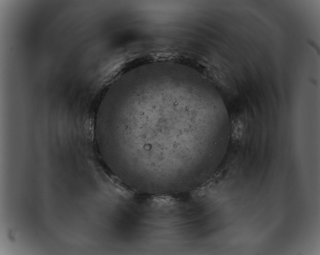 X0000093170666200709261529
