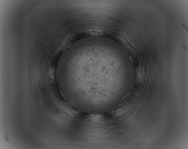 X0000093170667200709261529