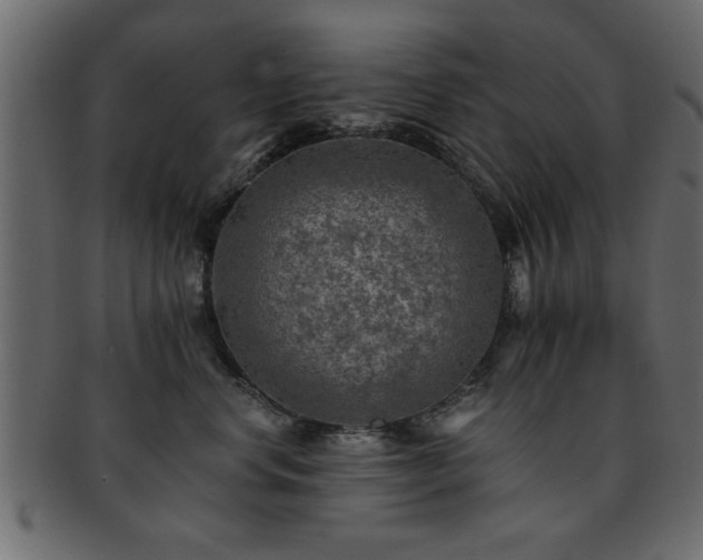 X0000093170668200709261529