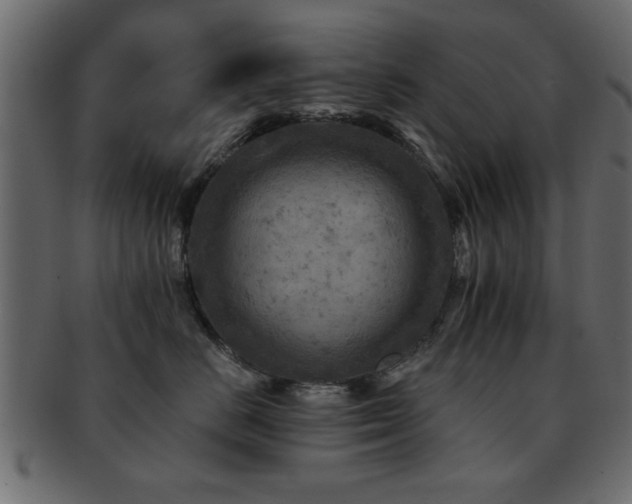 X0000093170670200709261529
