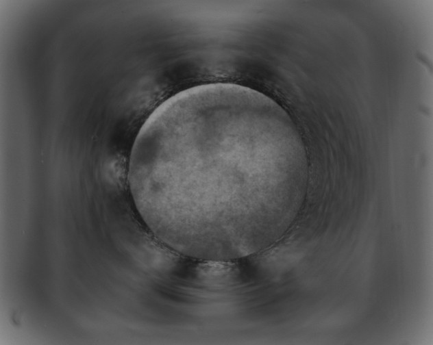 X0000093170672200709261529