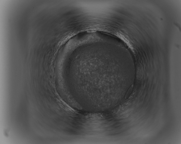 X0000093170673200709261529
