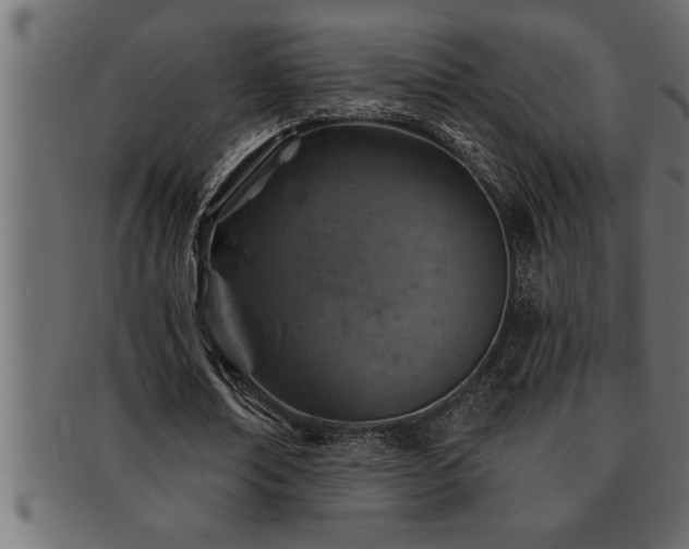 X0000093170674200709261528