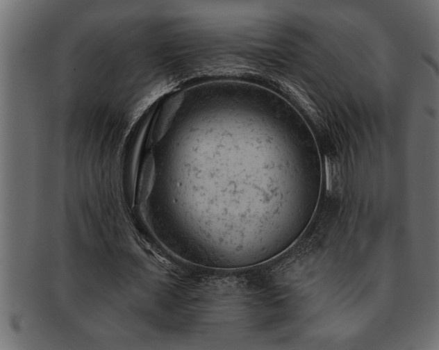 X0000093170675200709261528