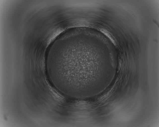 X0000093170677200709261528