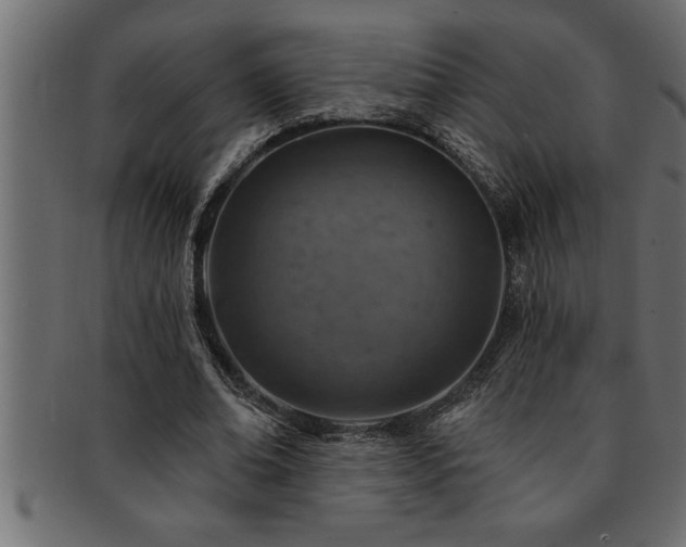 X0000093170678200709261528
