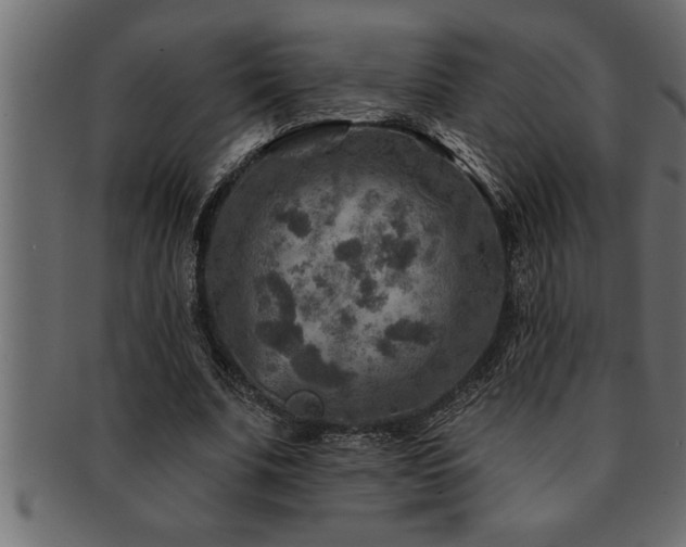 X0000093170679200709261528