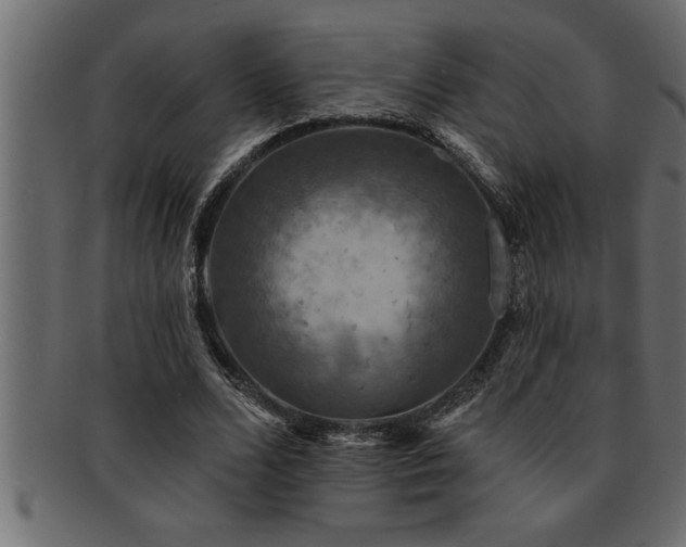 X0000093170680200709261528