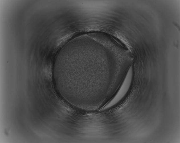 X0000093170681200709261528