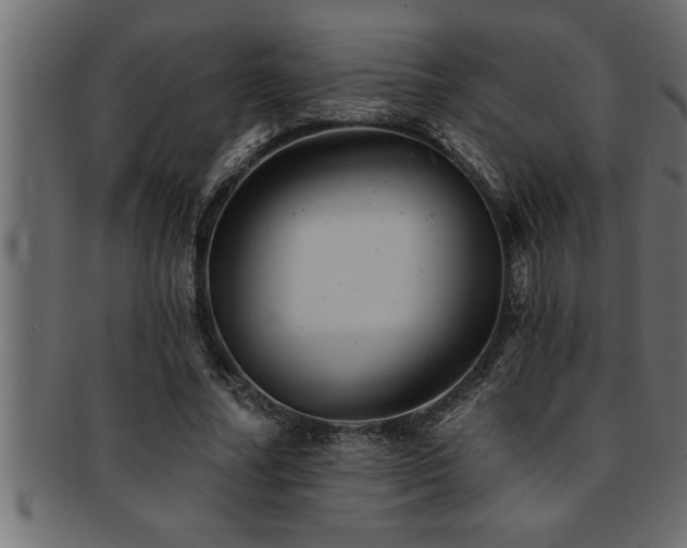X0000093170682200709261528