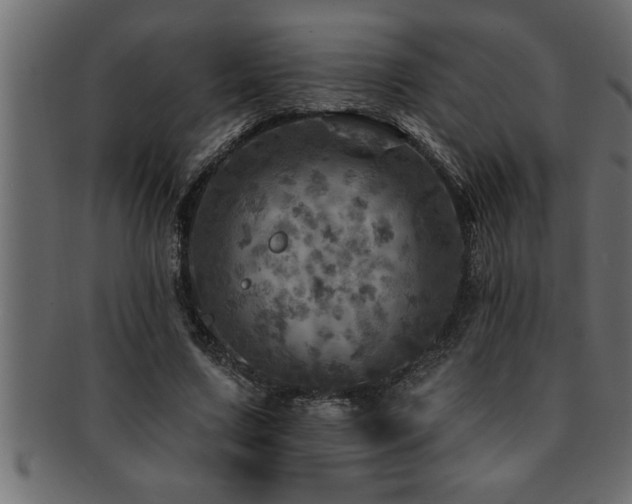 X0000093170683200709261528