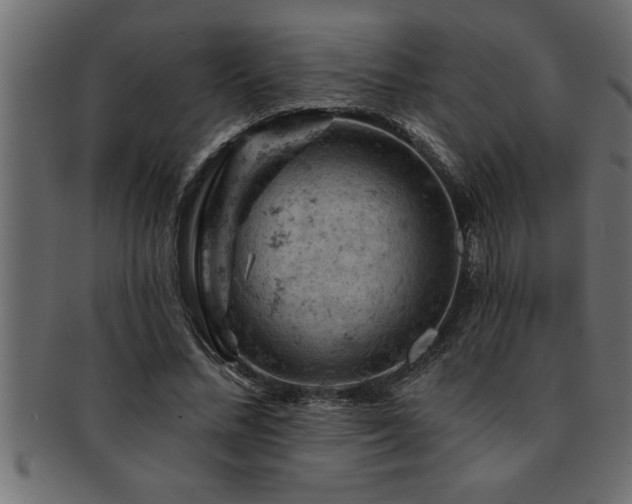 X0000093170684200709261528