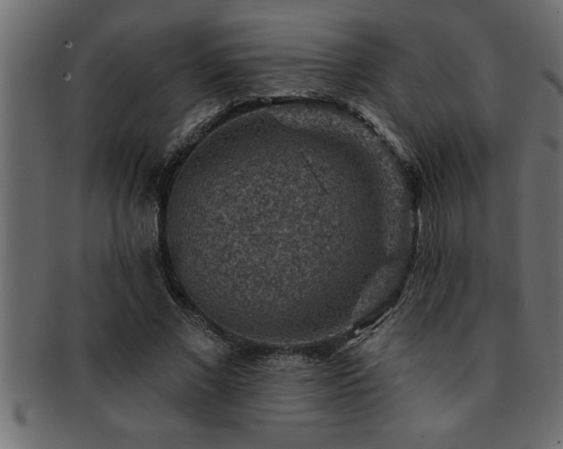 X0000093170685200709261528