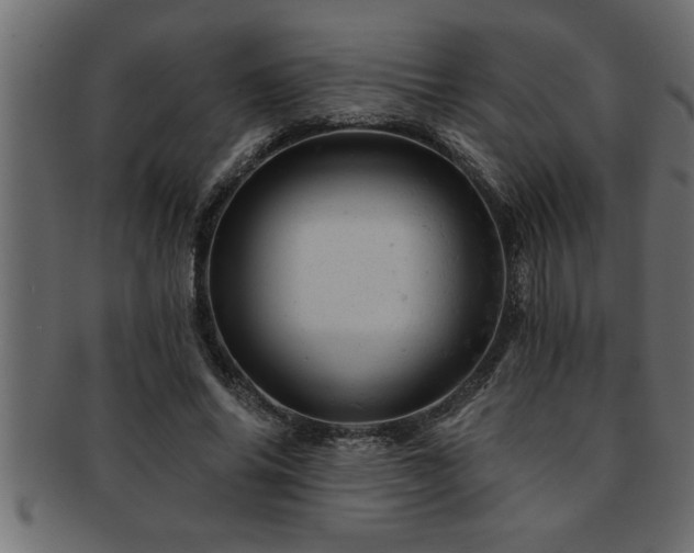 X0000093170686200709261528